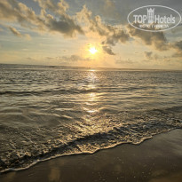 фото из отзыва ID 2599766