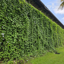 фото из отзыва ID 2599766