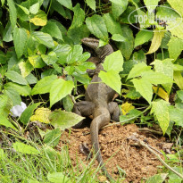 фото из отзыва ID 2599766