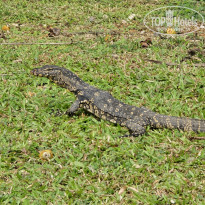 фото из отзыва ID 2599766