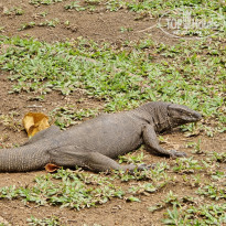 фото из отзыва ID 2599766