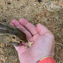 фото из отзыва ID 2599766