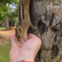 фото из отзыва ID 2599766