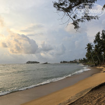 фото из отзыва ID 2599766