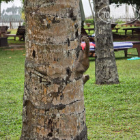 фото из отзыва ID 2599766