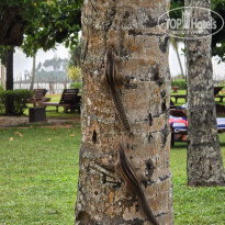 фото из отзыва ID 2599766