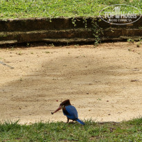 фото из отзыва ID 2599766