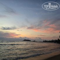 фото из отзыва ID 2599766