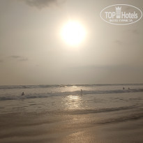 фото из отзыва ID 2599741