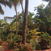 фото из отзыва ID 2599741