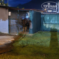 фото из отзыва ID 2599915