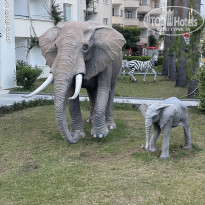 фото из отзыва ID 2596927