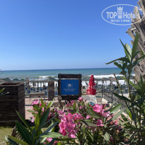 фото из отзыва ID 2596927