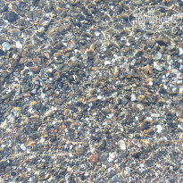 фото из отзыва ID 2598707