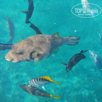 фото из отзыва ID 2591341