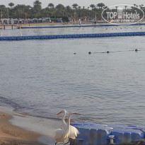 фото из отзыва ID 2591341