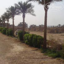 фото из отзыва ID 260486