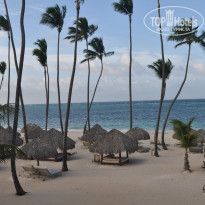 фото из отзыва ID 260535