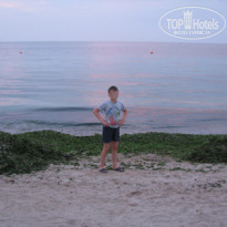 фото из отзыва ID 260644