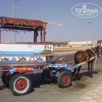 фото из отзыва ID 260645