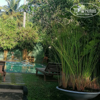 фото из отзыва ID 2600013