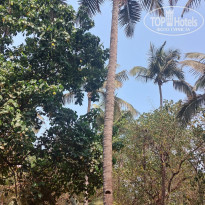 фото из отзыва ID 2600074