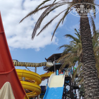 фото из отзыва ID 2600149