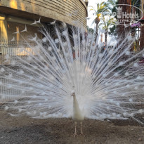 фото из отзыва ID 2600149