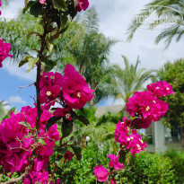 фото из отзыва ID 2600149