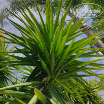 фото из отзыва ID 2600149