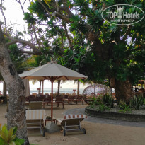 фото из отзыва ID 2600106