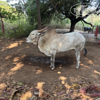 фото из отзыва ID 2600168