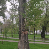 фото из отзыва ID 2600336