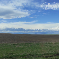 фото из отзыва ID 2600342