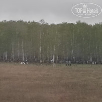 фото из отзыва ID 2600342