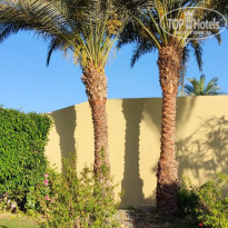 фото из отзыва ID 2600376