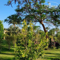 фото из отзыва ID 2600376