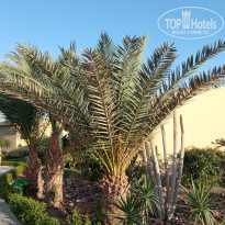 фото из отзыва ID 2600376