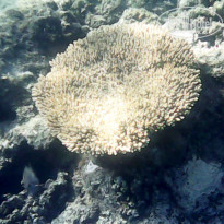 фото из отзыва ID 2600376