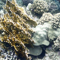 фото из отзыва ID 2600376