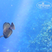 фото из отзыва ID 2600376