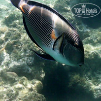 фото из отзыва ID 2600376