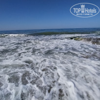 фото из отзыва ID 2600390