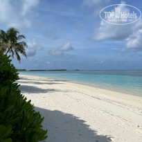 фото из отзыва ID 2600388