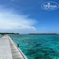 фото из отзыва ID 2600388