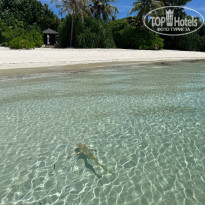 фото из отзыва ID 2600388