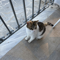 фото из отзыва ID 2600534