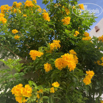 фото из отзыва ID 2600562