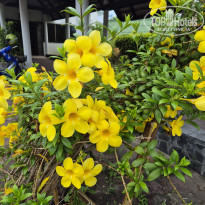 фото из отзыва ID 2600799