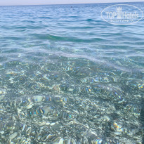 фото из отзыва ID 2600999